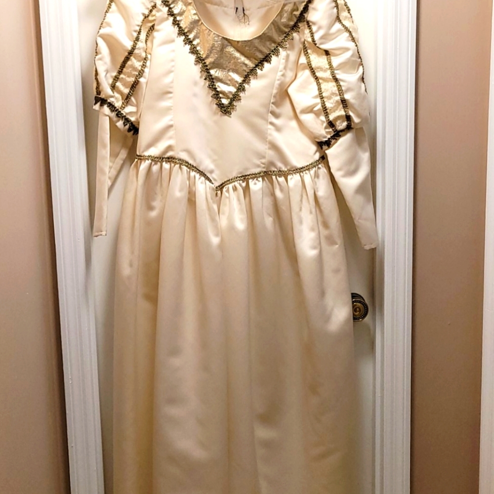 Secrets Costume Women's Gown